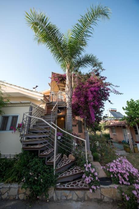 Bougainvillea House 1 Apartment