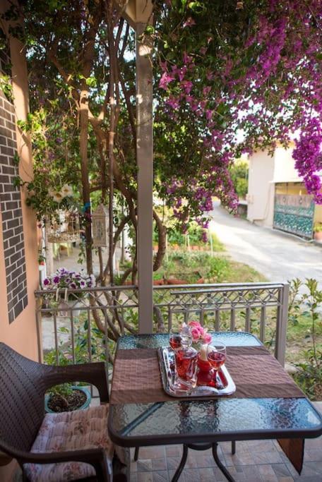 Bougainvillea House 1