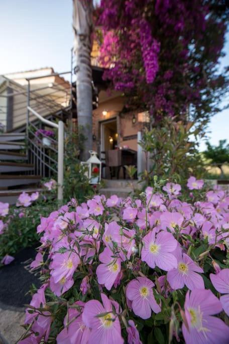 Bougainvillea House 1 * Kalamata