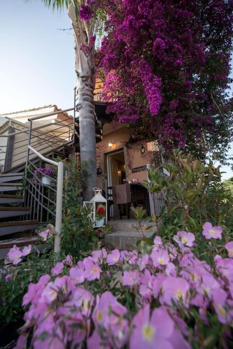 Bougainvillea House 1 Apartment Kalamata