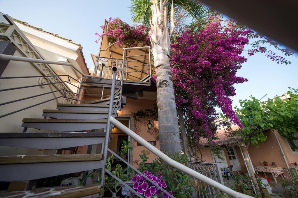 Bougainvillea House 1 * Kalamata