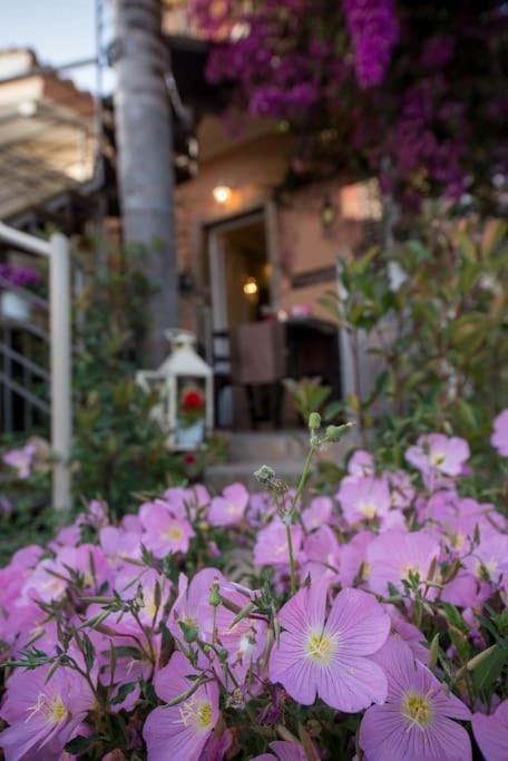 Bougainvillea House 1 * Kalamata